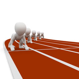 华体会官网介绍-中小学体育教师职业成长路径研究，中小学体育教师现状